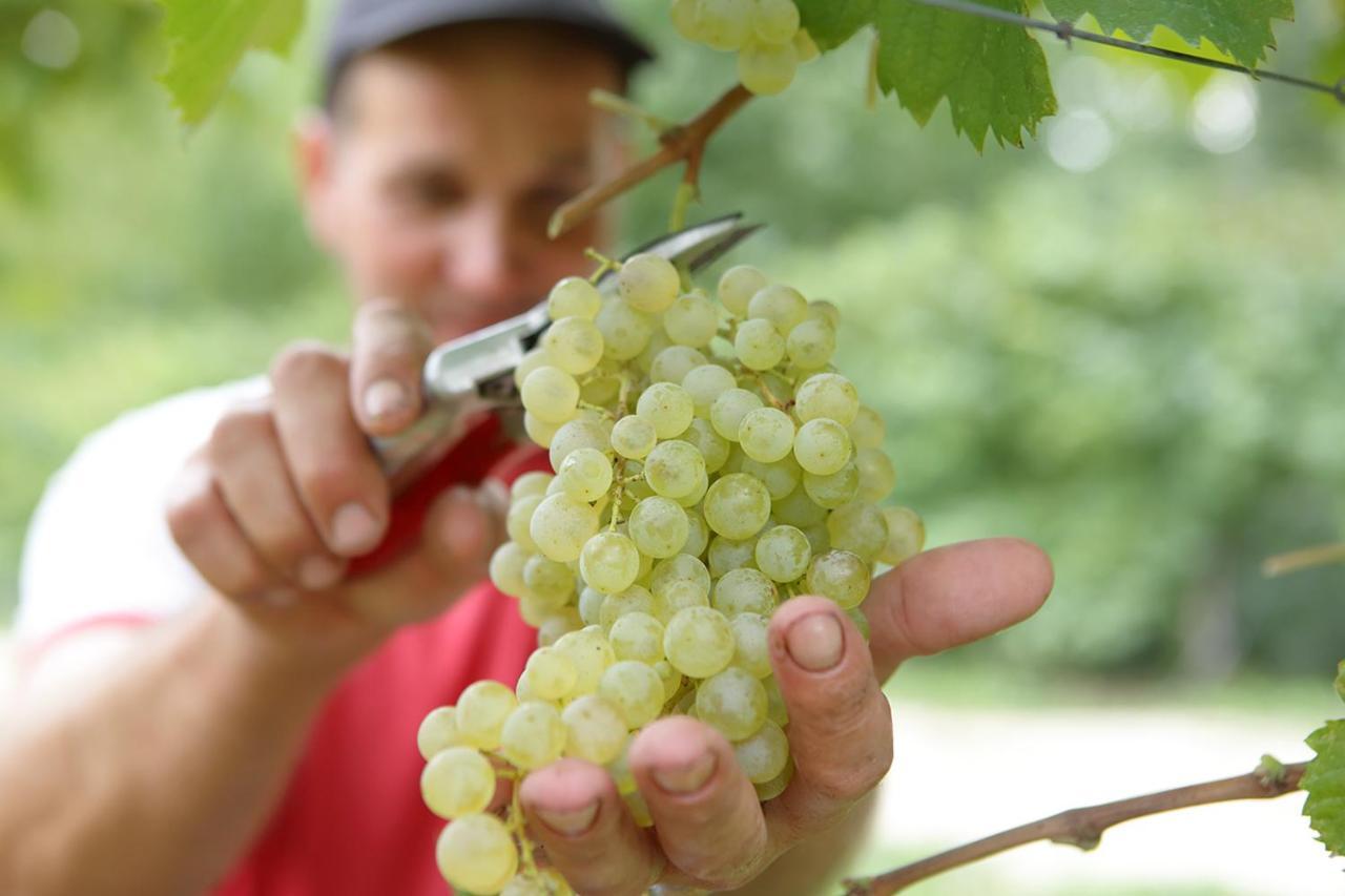 Tenuta Santome Biancade Ngoại thất bức ảnh